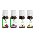Bundle of 4, Onion, Lavender, Ginger and Garlic Essential oils for Hair care-Brand Pakistan Pansar. 