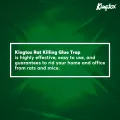 Kingtox Rat Killing Glue Trap. 