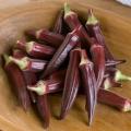 Okra Burgundy Vegetable Seeds. 