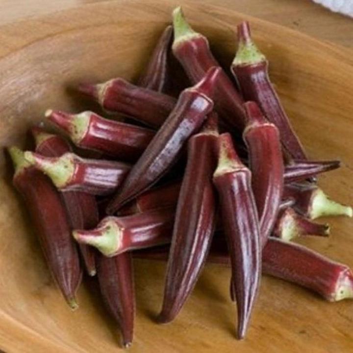Okra Burgundy Vegetable Seeds