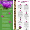 MILK THISTLE SEEDS - Organic for Tea Silybum Marianum Natural Detox 100g. 