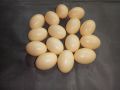 10 Piece - Artificial Toy Eggs - Basic Learning Egg (Light Plastic Hollow Egg - Artificial Eggs). 