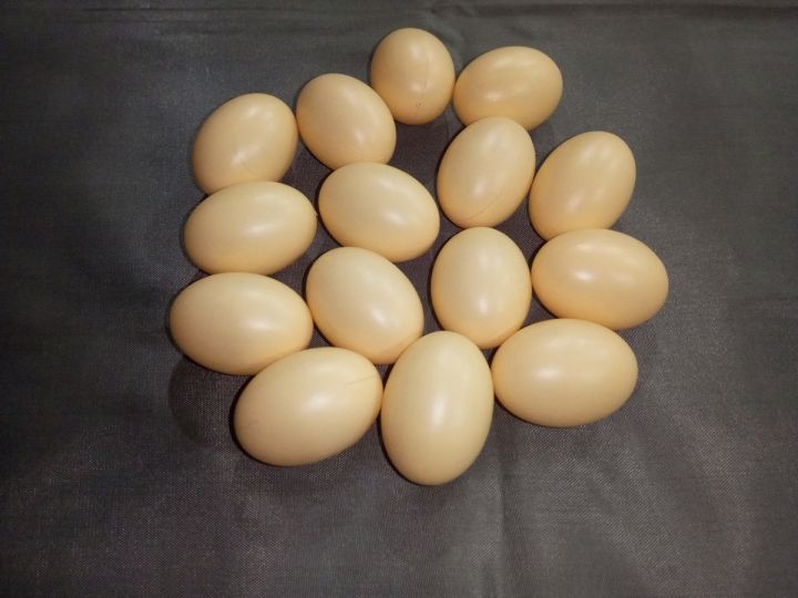 10%20Piece%20-%20Artificial%20Toy%20Eggs%20-%20Basic%20Learning%20Egg%20(Light%20Plastic%20Hollow%20Egg%20-%20Artificial%20Eggs)%20-%20Image%205