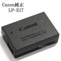 Canon LP-E17 Rechargeable Lithium-Ion Battery Pack for Canon EOS RP, 77D, 750D, 760D, 200D, M6, M5, M3, Rebel T7i, T6i, T6s, SL3, SL2. 