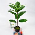 2Pcs Faux Banana Tree Tropical Monstera Leaf Turtle Large Palm Leaves Fern Green Bushes Shrubs Greenery Decor. 