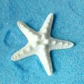 5Pcs Resin Starfish Ornament Beach Ocean Sea Star Home Wall Party Decoration. 