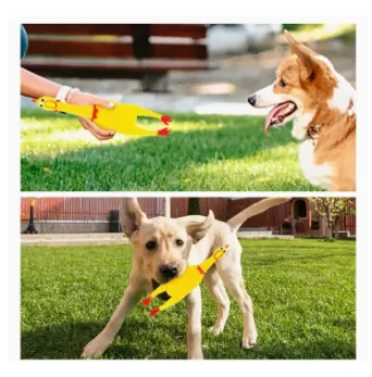 Small%20Squeaky%20Hen%20Teaser%20Toy%20For%20Dogs%20and%20Cats%20-%20Image%202