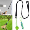 Safe Dog Entertainment Toy Interactive Bungee Tug Toy for Dogs Fun Tree Hanging Game with Adjustable Rope Dental Cleaning Chew Toy Perfect for Pet Playtime. 