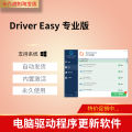 Driver Easy Professional Edition computer driver detection management download backup update upgrade tool. 