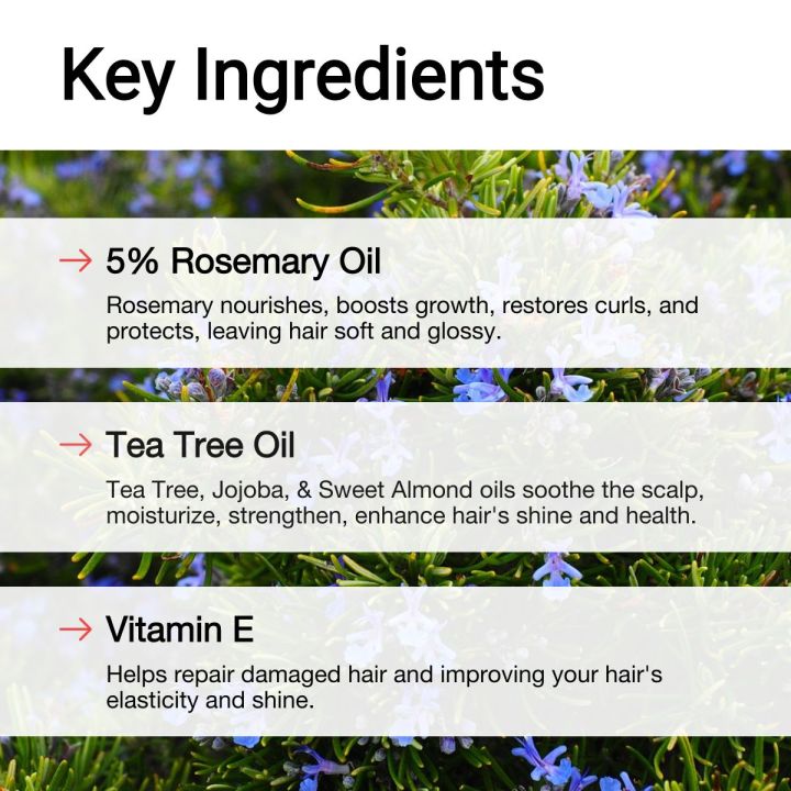 AccuFix%20Cosmetics%20Rosemary%20Oil%20(50ml)%20%7C%20Hair%20Fall%20Treatments%20%7C%20Dandruff-Safe%20Version%20%7C%20AccuFix%20Cosmetics%20-%20Image%204