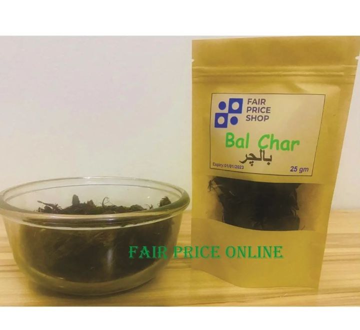 Bal%20Char%20(%D8%A8%D8%A7%D9%84%DA%86%DA%BE%DA%91)%20Jatamasi/Nardostachys%20Jatamansi/Bhutajata/Sambul%20Lateeb/Balchar/Muskroot/Spikenard/Jatamanji%2025%20gm%20-%20Image%203