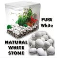 Big white Stone for Garden & Aquarium 1 Kg. 
