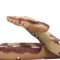 Snake Pranks Toy, Lifelike Snake Toy Versatile Cleanable for Adults for Garden. 