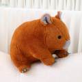 Cute Plush Koala Toy 11.81 in Simulation Soft Koala Stuffed Animal Stuffed Koala Plush Toy for Kids. 