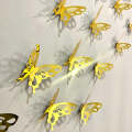 3D Acrylic butterflies  For Wall Decor, Butterflies Wall Enhancement , Butterflies for Living room , 3d Butterflies for kids room. 