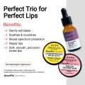 AccuFix Cosmetics Lip Pigmentation Bundle. 