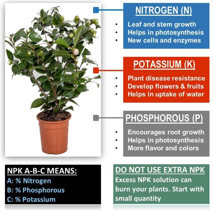 Only%20for%20Organic%20Mustard%20Oil%20Cake%20Powder%201kg%20-%20Image%206