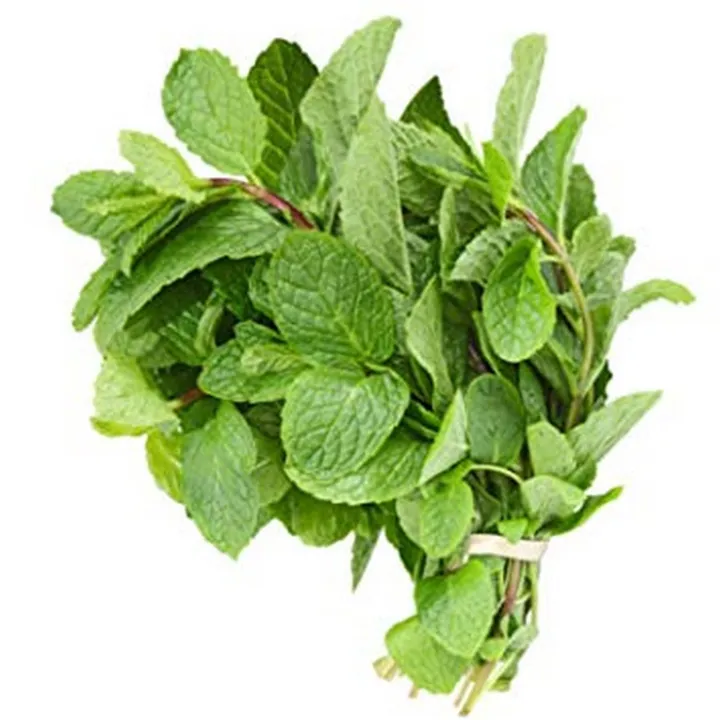 Mint%20seeds%20imported%20herb%20seeds%2030+seeds%20BY%20HK%20DEALER%20-%20Image%203