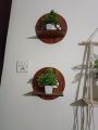 Wall Mounted Shelf for Living Room Stylish MDF Floating Shelf, Freestanding for Living Room, Bedroom, Kitchen - Easy Assembly, Wall Decor I Wall Decor items for home I Decorating Items I Decorating items for bedroom I Decoration. 
