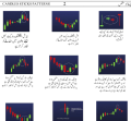 Urdu Trading Charts Patterns Paper Book in Urdu with 90% Accuracy Business Books. 