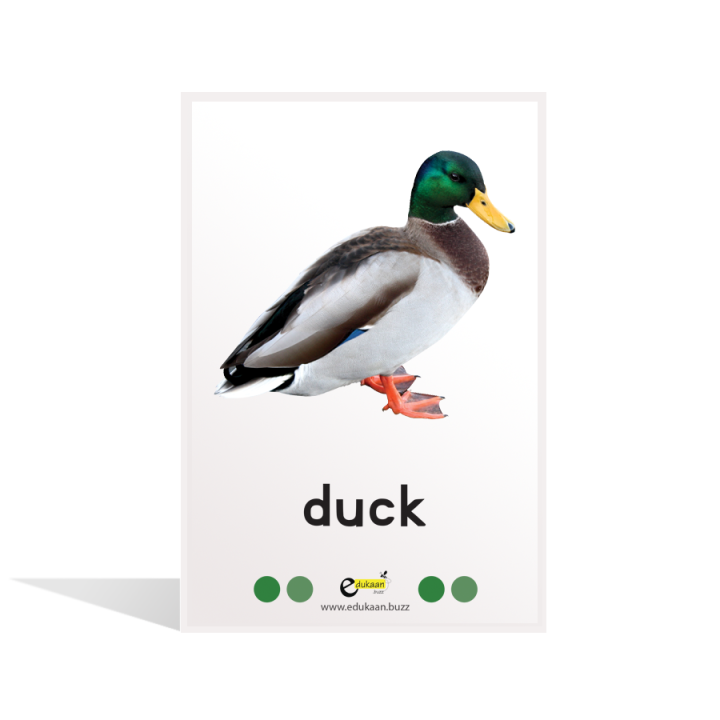 Farm%20&%20Pets%20Flash%20Cards%20-%208004%20-%20Image%204