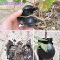 Amamia Plant Root Growing Box Wear-resistant Garden Plant Root Ball Box Propagation Device. 
