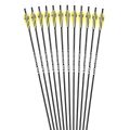 Silk Road Traders Musen MSTJ-70HS ID 5.2mm Carbon Fiber Arrows - Spine 700 - 29 Inches - Fixed Inserted Tip - Recreational Arrows - 12 Pcs. 