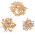 Sea shells size:0.5-3cm 100pcs Mini Starfish Craft Decoration Sea Stars
 ZH. 