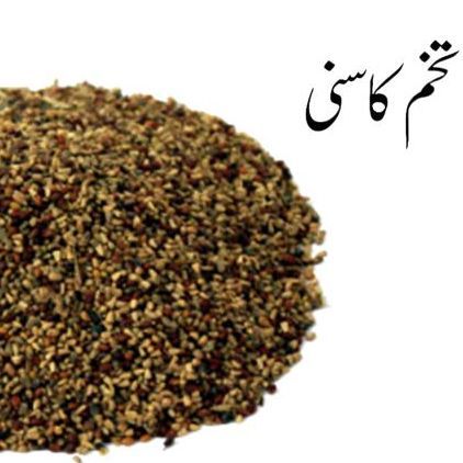 Tukham%20e%20Kasni%20-%20%D8%AA%D8%AE%D9%85%20%DA%A9%D8%A7%D8%B3%D9%86%DB%8C%20%20(Chicory%20Seeds)%20-%20100%20Grams%20-%20Image%202
