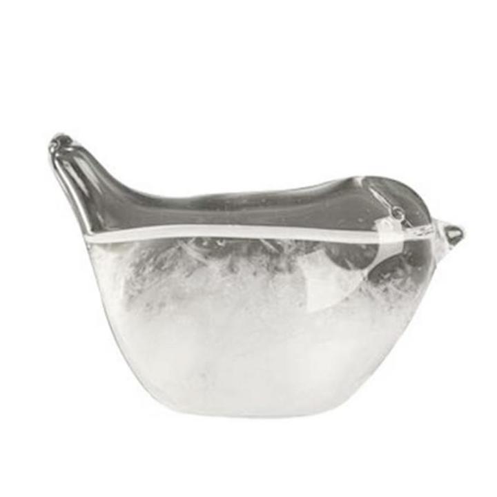 Storm Glass Weather Station Bird Shape Storm Glass Weather Predictor Desk Weather Forecast Bottle Weather Predicting Globe