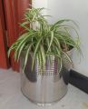 High Quality Rust-Free Stainless Steel Planter or Urn Cover. 