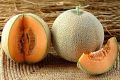 10 seeds of muskmelon kitchen garden. 