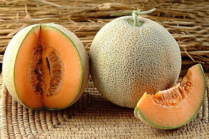 10 seeds of muskmelon kitchen garden