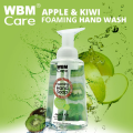 (Pack of 2) WBM Everyday Liquid Hand Wash | Foaming Hand Soap & Liquid Hand Wash Refill for Daily Hand Care. 