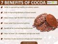 Cacao Dark Cacao Powder, 500g Dutch-Process Cocoa Powder, Unsweetened Cocoa, Baking Cocoa Powder,. 