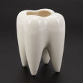 Tooth Shape White Ceramic Flower Pot Modern Design Planter Teeth Model Mini Desktop Pot Creative Gift(without plants). 
