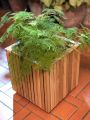 wooden planter small square. 