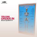 Human Skeleton System Wall Chart | HD Picture Presentation on 200 grams Laminated Card 23*36 inches. 