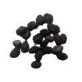 Curry Leaves Plant Seeds (10 Seeds). 