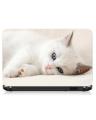 Universal Laptop Back Skin Wallpaper/Cute Cat Laptop 3D Simple And Fashionable laptop back sticker. 