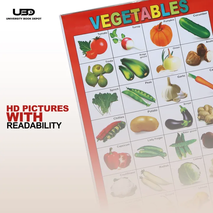 Pack%20of%204%20Wall%20Charts%20for%20Classrooms%20and%20Preschool%20Decoration%20%7C%20Wall%20Posters%20For%20Kids%20Early%20Education%20with%20HD%20Pictures%20on%20200%20grams%20Laminated%20Card%2020*30%20inches%20-%20Image%205