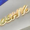 Sign Custom Logo Company Interior Decoration 3D Office Wall 3D Sticker Metal Letters For Wall Decor. 