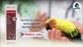 No Pick for birds plucking feathers 100ml bottle ( Versele laga / Belgium ) stop birds feather plucking ( par torna band ). 