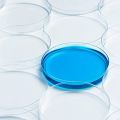 High Borosilicate Glass Petri Dishes with Lids Bacterial Culture Dishes, a Pack of 5PCS. 