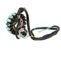 SIWA CG200cc Magnet Coil (18 Pole) Water Cooled Engine Parts High Quality Genuine Parts. 