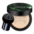 SUNISA Clear Lasting Waterproof Sweat Proof Mushroom Head Air Cushion BB Cream. 