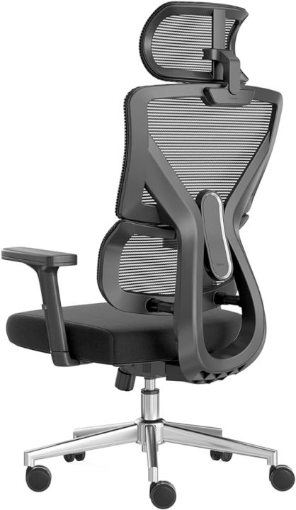 Hbada E201BSA/US E2 Ergonomic Office Chair Mesh Desk Chair with Lumbar ...