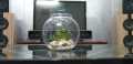 Fishes Tank Aquatic Aquarium Home Decorative Fish Bowls Table(Large Size). 