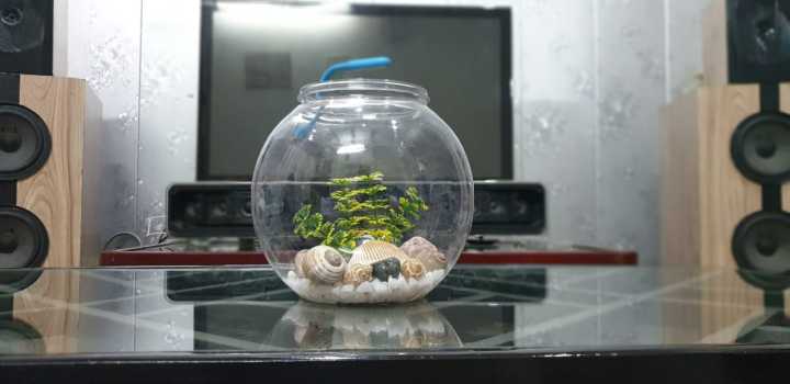 Fishes%20Tank%20Aquatic%20Aquarium%20Home%20Decorative%20Fish%20Bowls%20Table(Large%20Size)%20-%20Image%206