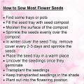 Chamomile Flower Seeds - Used in Herb / Herbal Tea. 